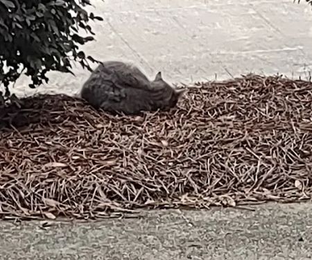 Trane Residential Systems