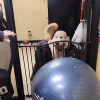 Cook's Auto Repair ico