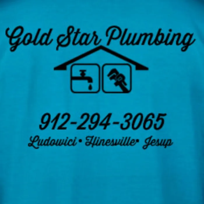 Gold Star Plumbing Picture 3