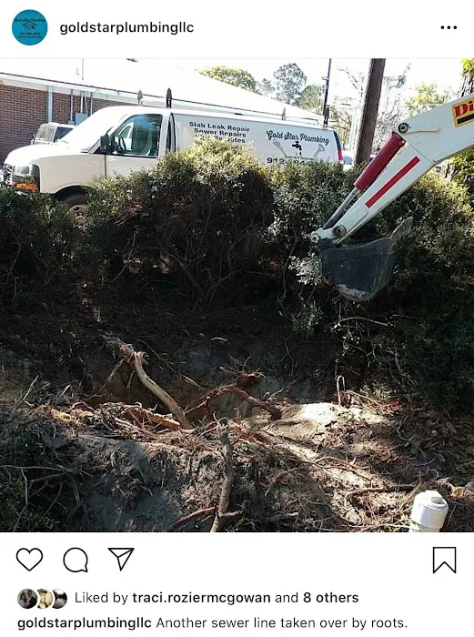 Gold Star Plumbing Picture 4