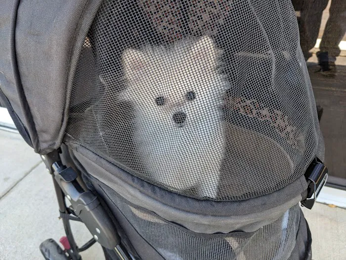 Grease Monkey Picture 10