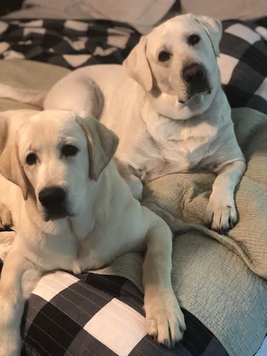 Seacoast Air Conditioning of Stuart FL Picture 2