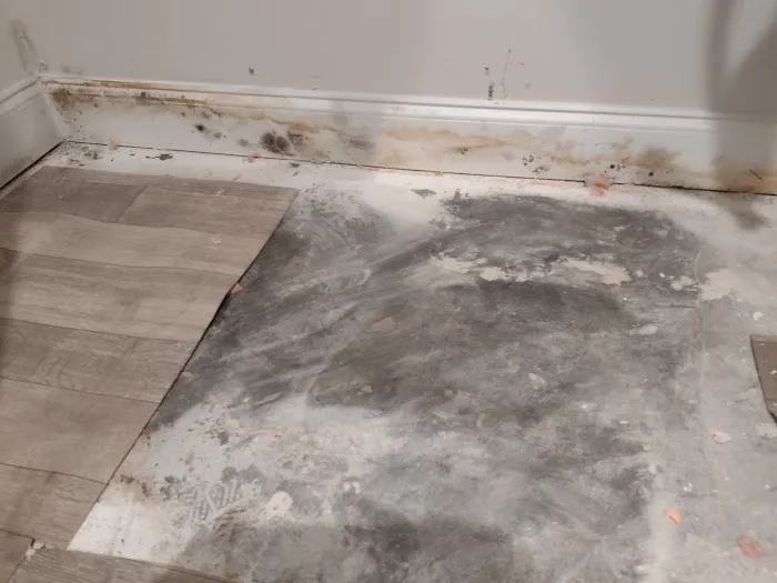 Fogel Services, Inc. Picture 1