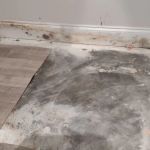 Fogel Services, Inc.