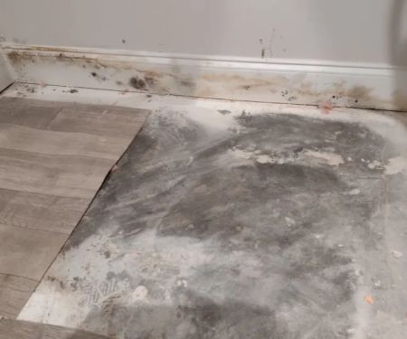 Fogel Services, Inc.