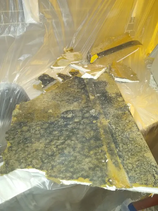 AdvantaClean of The Emerald Coast Picture 7