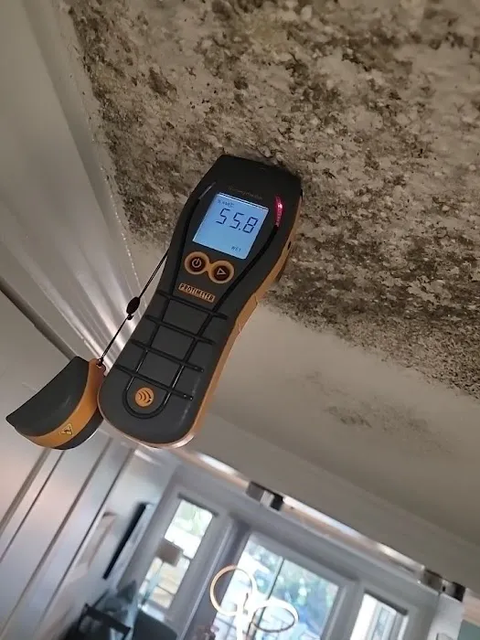 AdvantaClean of The Emerald Coast Picture 10