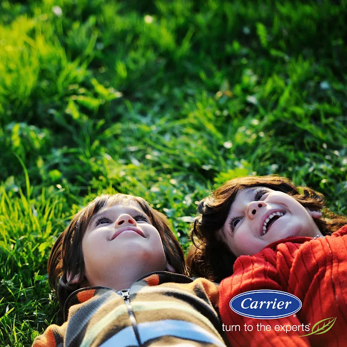 Baileys Air Picture 8