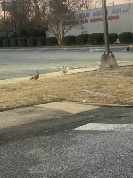 Cool Car Auto Air Picture 3