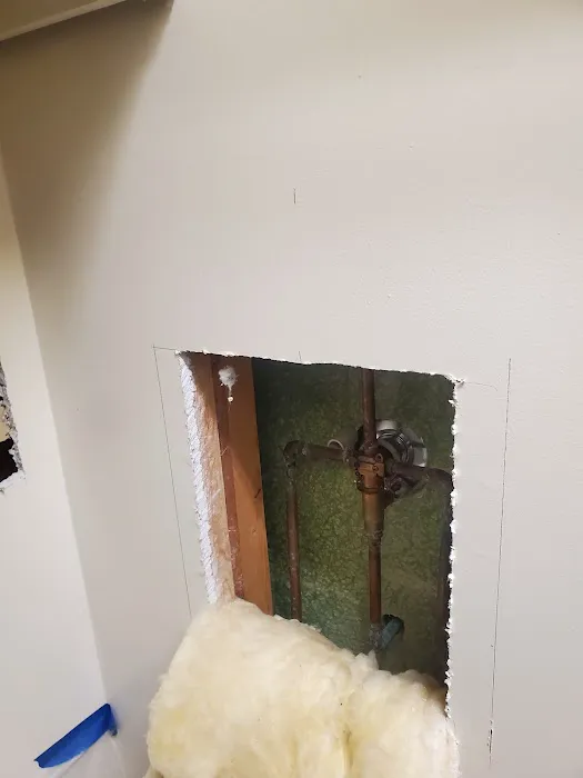 Benjamin Franklin The Punctual Plumber Picture 1