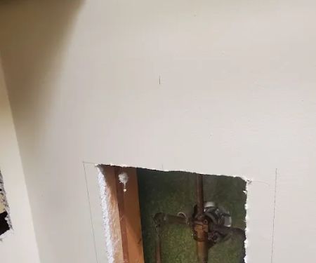 Benjamin Franklin The Punctual Plumber