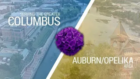 Benjamin Franklin The Punctual Plumber Picture 4