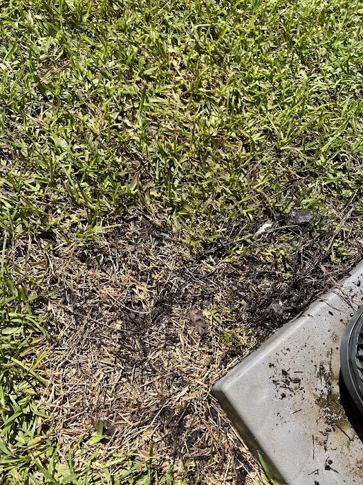 Bill Bradley Services Picture 4