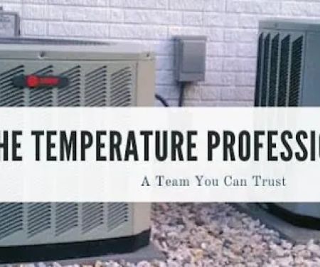 The Temperature Professionals