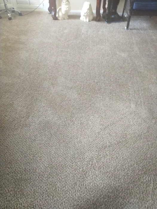 Stanley Steemer Picture 1