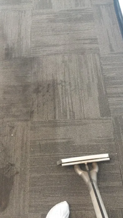 Stanley Steemer Picture 7