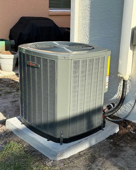 Young’s Air Picture 5