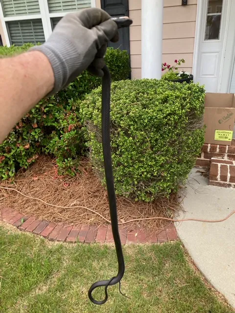 Creighton Laircey Co Inc Picture 5