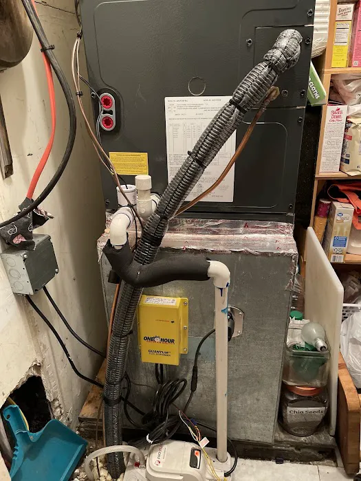 Mister Sparky® of Augusta Picture 5