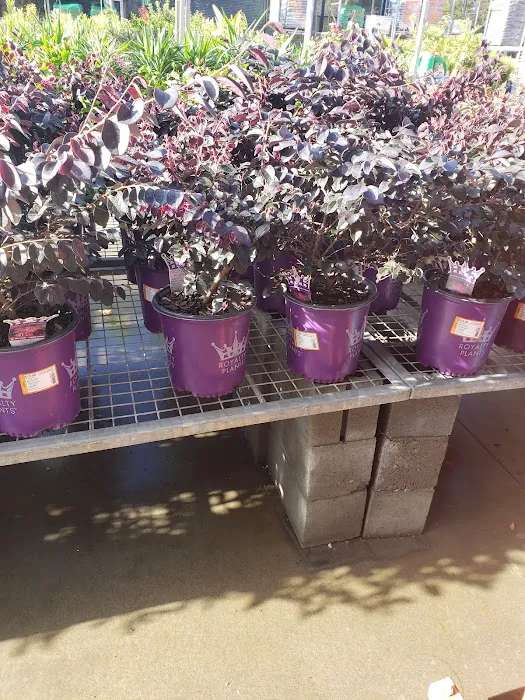 The Home Depot Picture 4