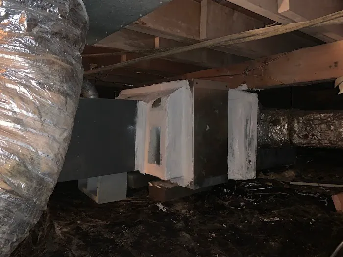 Sammies Enterprises LLC Picture 2