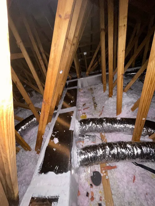 Alite services LLC Picture 8