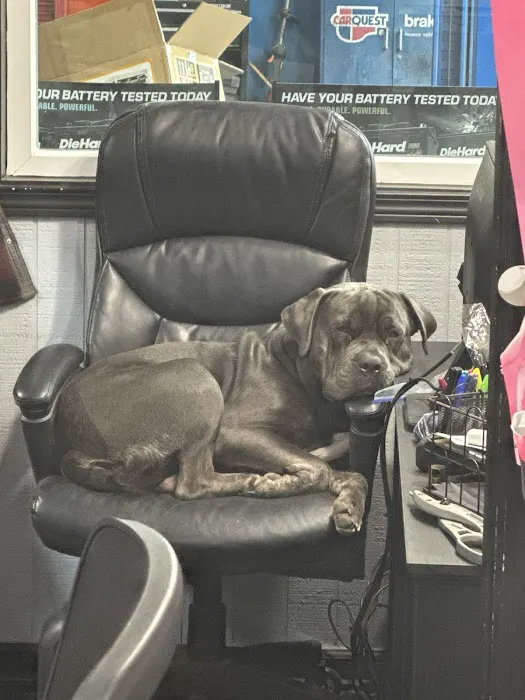 Integrity Auto Service Picture 4