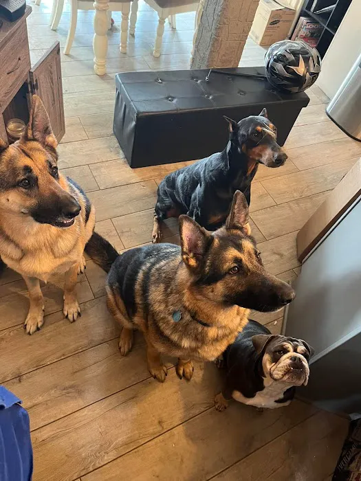 Bluewater Heating & Air Conditioning Picture 8