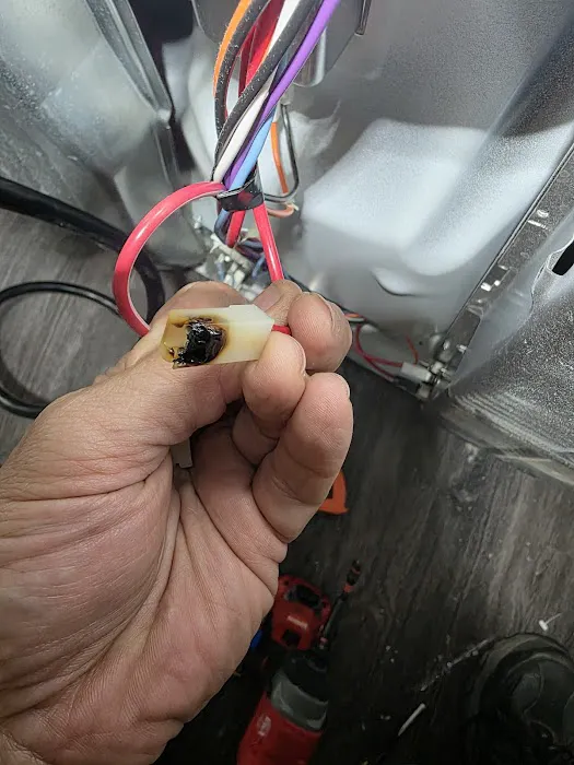 Florida Man Residential Picture 9