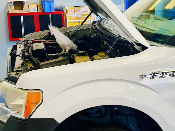 Stuart Auto Repair & AC Pros Picture 4