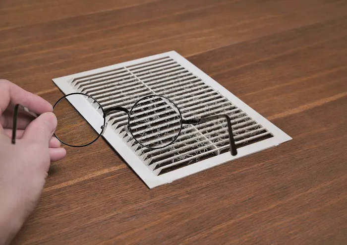 Low Country Ducts Picture 3