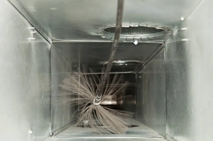 Low Country Ducts Picture 5