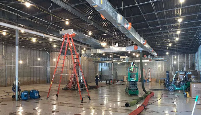 Low Country Ducts Picture 8