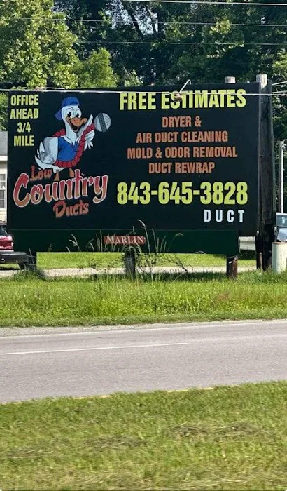 Low Country Ducts Picture 10