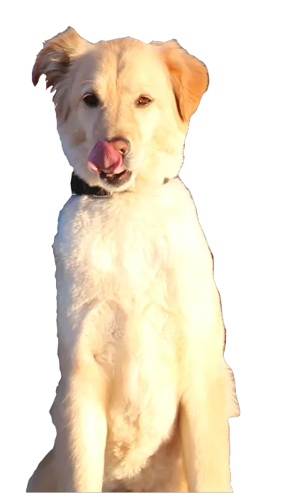 Air Control Systems, LLC Picture 5