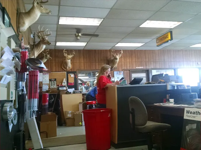 Cates Firestone Picture 1