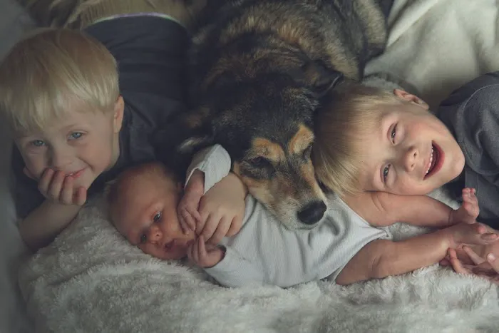 Spartan Heating & Air Conditioning Picture 6