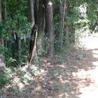 Mobley Mechanical ico