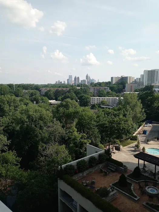 Iron Lion Heating & Air Services Picture 8