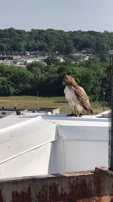 KruxAF Mechanical Picture 5