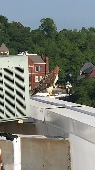 KruxAF Mechanical Picture 6