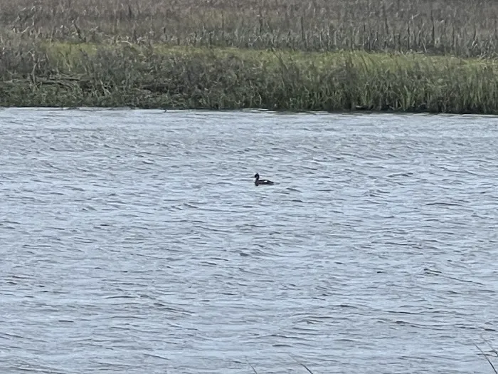 Donnelly's PEACH Services Picture 2