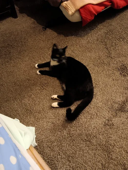 Harris Plumbing & Electrical Picture 2