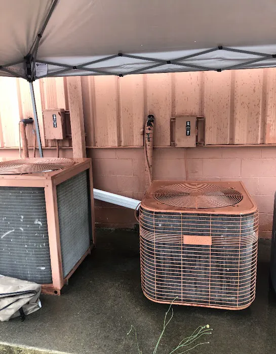 Tailored Comfort Picture 2