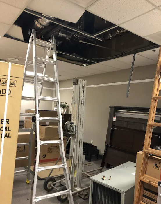 Tailored Comfort Picture 3