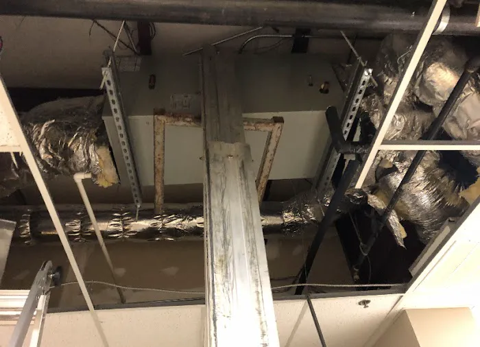 Tailored Comfort Picture 6