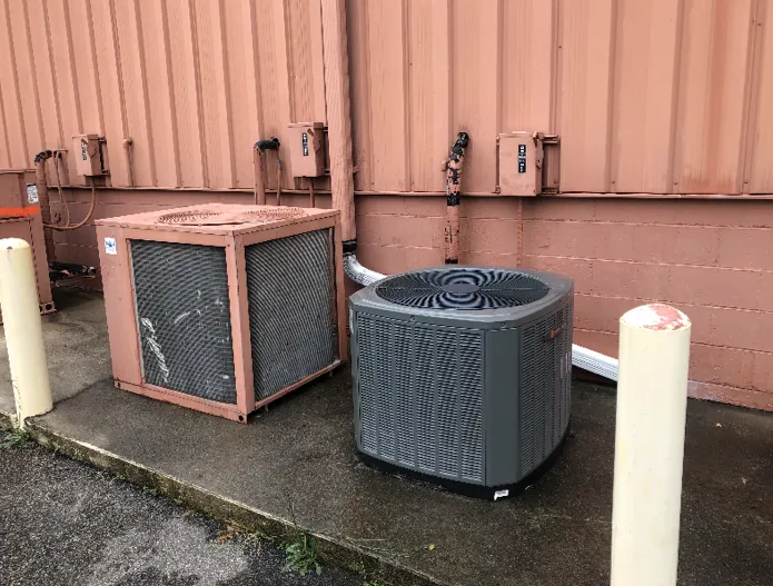 Tailored Comfort Picture 8