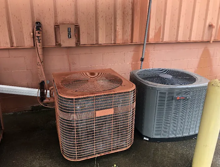 Tailored Comfort Picture 9