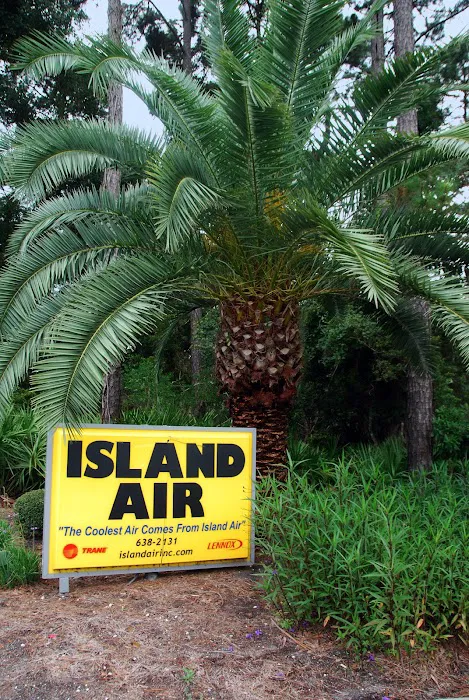 Island Air Inc. Picture 4