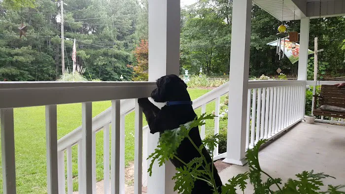 Sinco Company LLC Picture 1